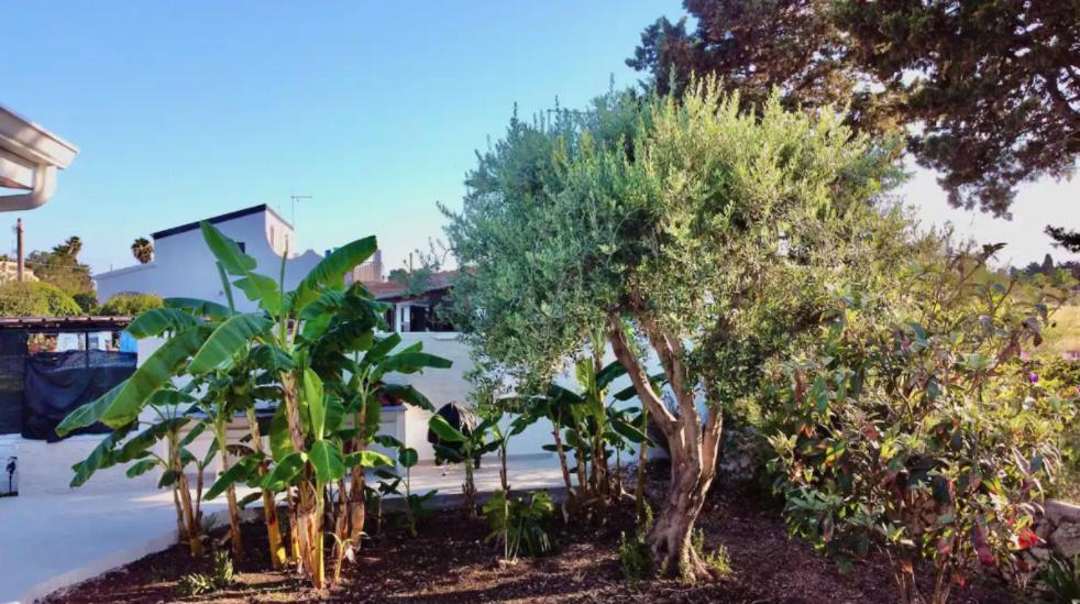 Villa Mare Blue Sr Nuovissima Villa 150M Dal Mare Adatta A Bambini Terrauzza Экстерьер фото